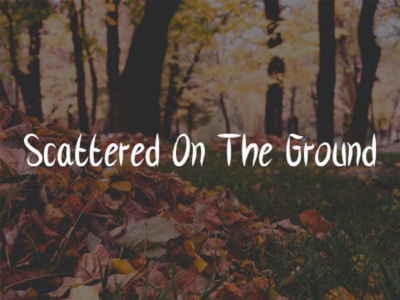 Fallen Leaves Font - Preview 2