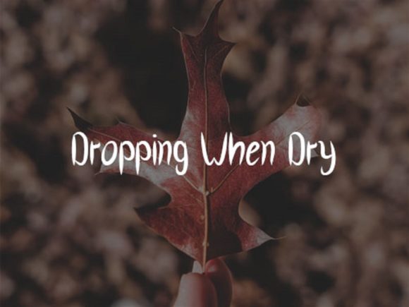 Fallen Leaves Font - Preview 3