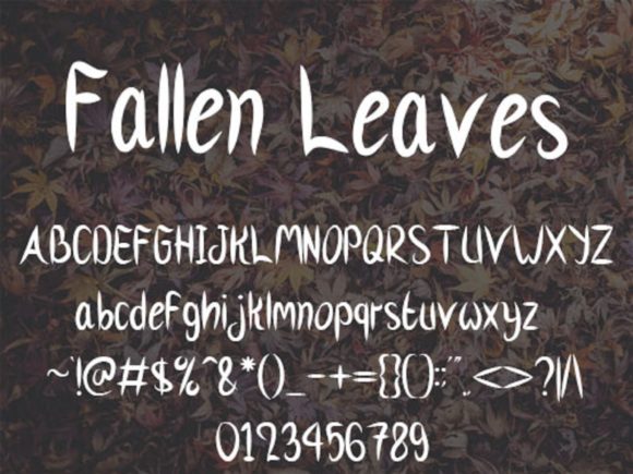 Fallen Leaves Font - Preview 4