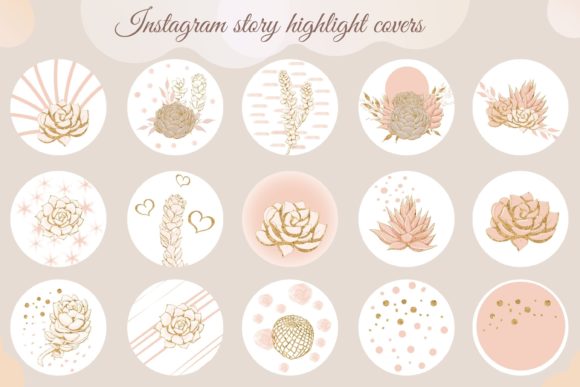 Pink and Gold Succulent Highlights