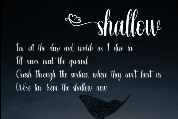 Chardonnay Font - Preview 5