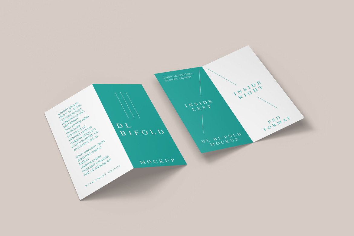 DL Bi-Fold Mockup Template Graphic by Ian Mikraz · Creative Fabrica