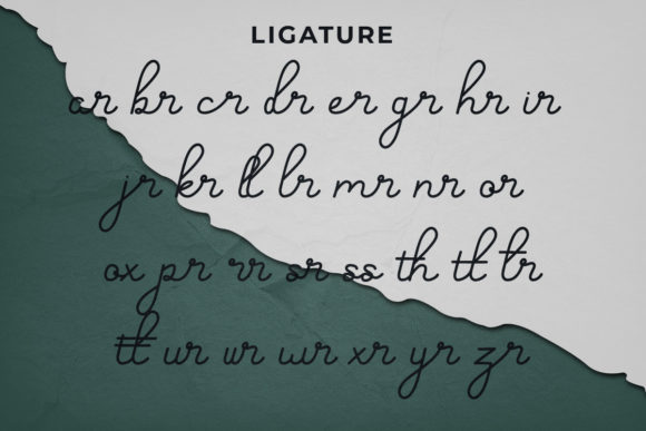 Hand Signature Font - Preview 4