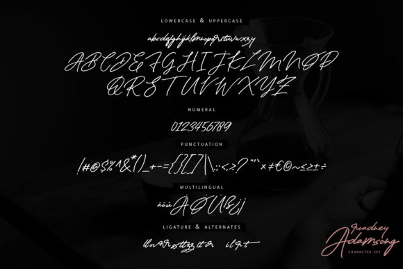 Roadney Adamsong Font PNG with transparent background - Preview 5