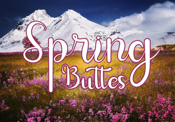Butterfly Font - Preview 1