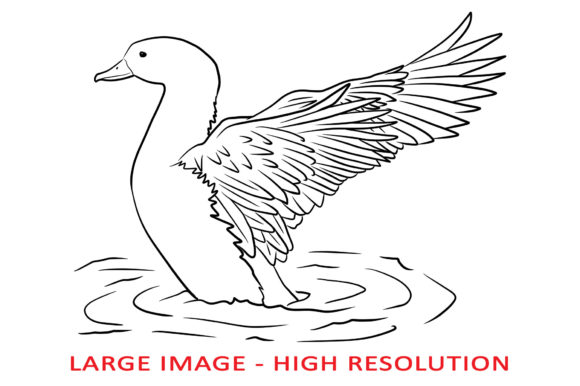 Duck Flapping Wings in the Water Lineart