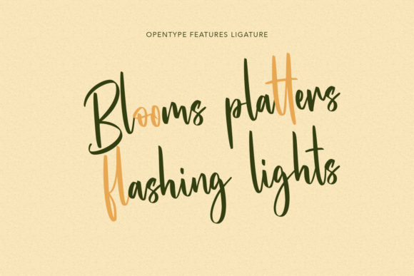 Hunnyflash Font - Preview 5