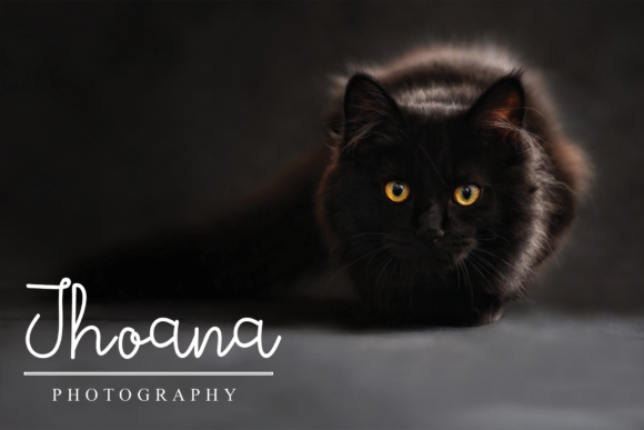 Amanda Font - Preview 1