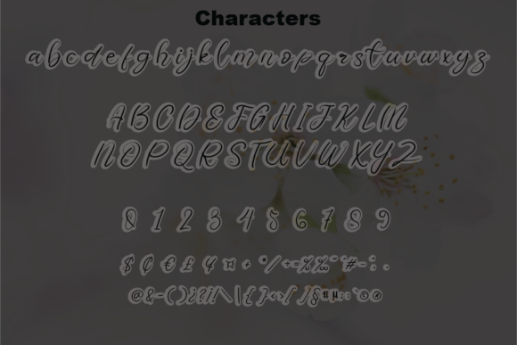 Beautiful Rustic Font - Preview 1