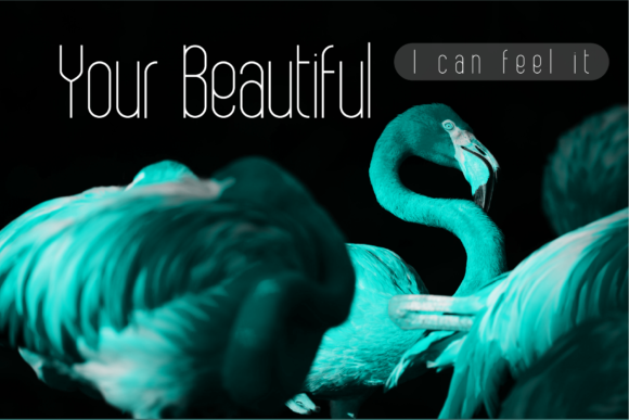 Bobogo Font - Preview 5
