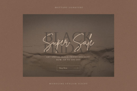 Brittany Signature Script Font - Preview 1
