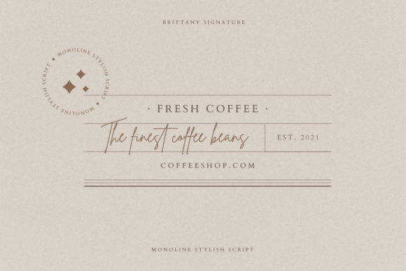 Brittany Signature Script Font - Preview 2