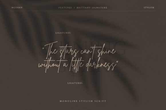 Brittany Signature Script Font - Preview 5