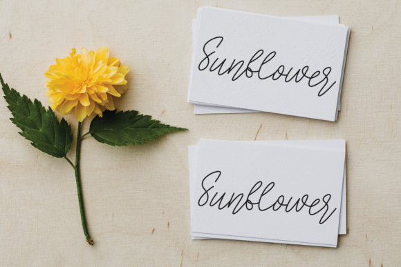 Creative Workshop Font PNG with transparent background - Preview 4