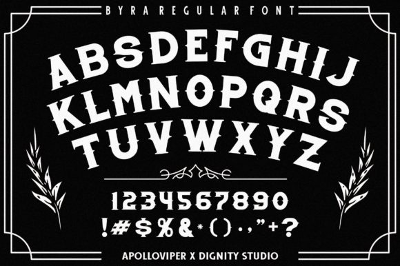 Dignity Studio Font - Preview 4