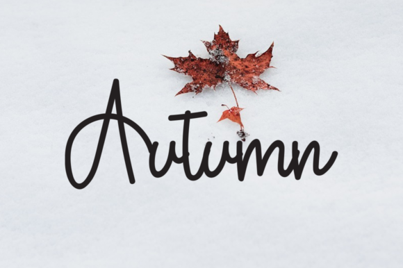 Flower Signature Font - Preview 2
