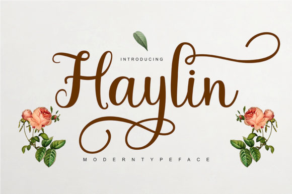 Haylin-Script-Fonts-11810563-1-1-580x386.jpg