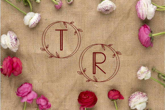 Monogram Angela Font PNG with transparent background - Preview 2