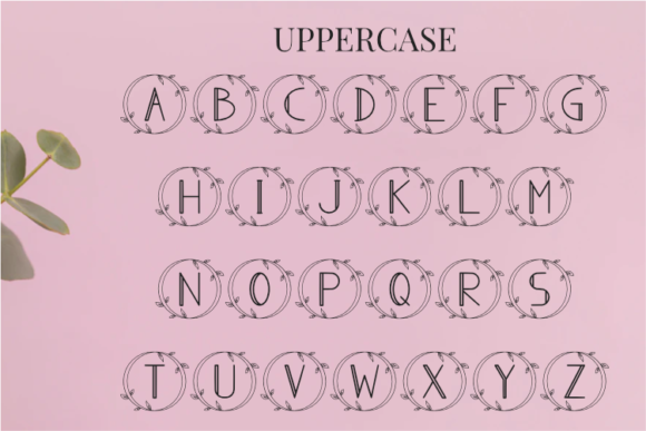 Monogram Angela Font PNG with transparent background - Preview 5