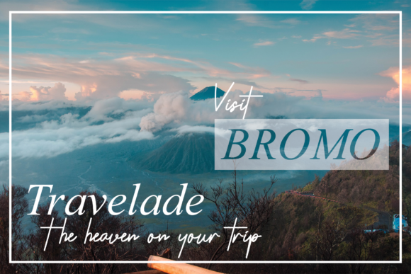 Paradise Font PNG with transparent background - Preview 2