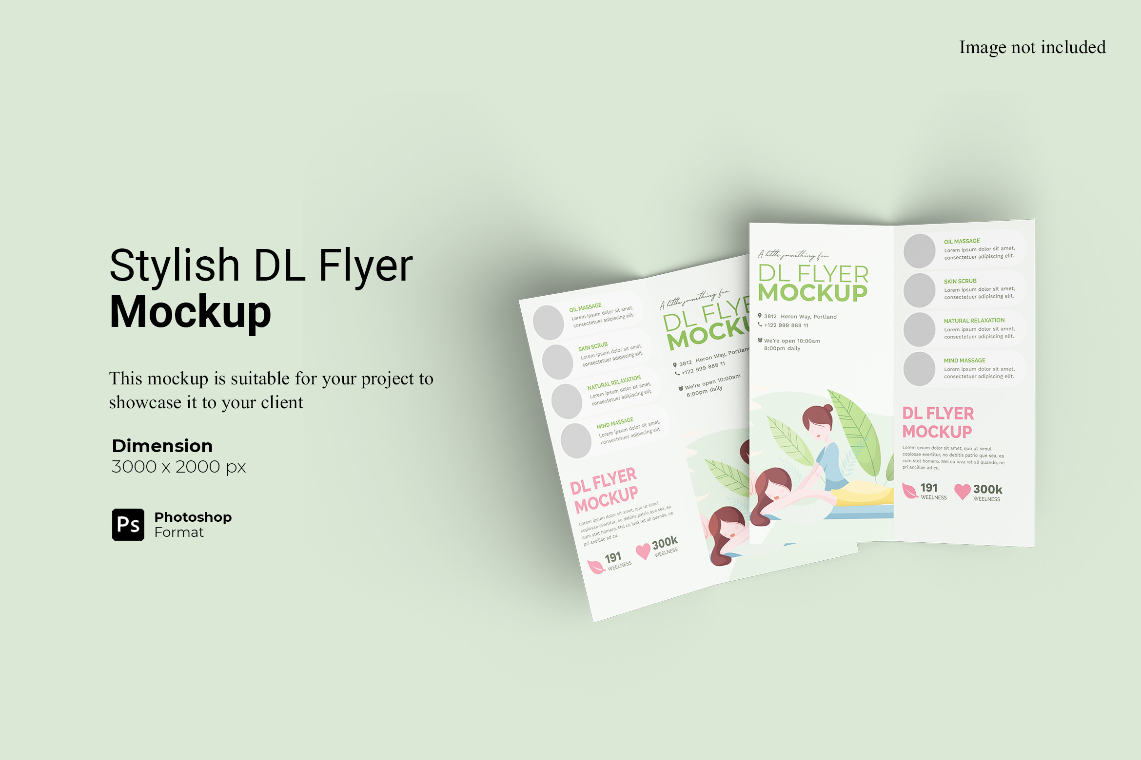 Stylish Bifold DL Flyer Mockup Graphic by Ian Mikraz · Creative Fabrica