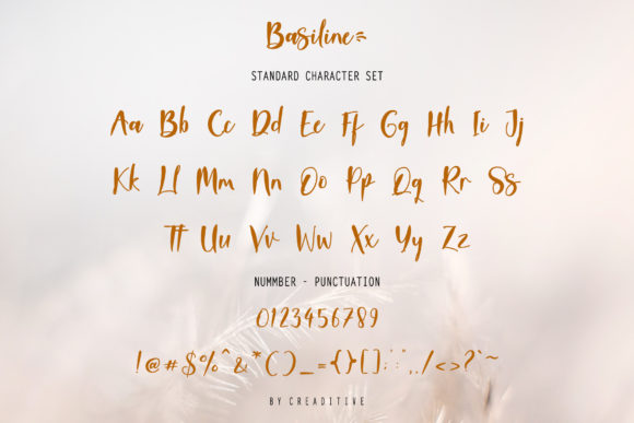 Basiline Font - Preview 6