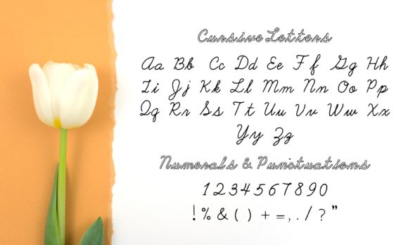 Cursive Letters Font - Preview 4