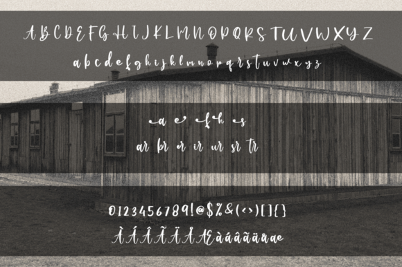 Farmhouse Shunsine Font - Preview 6