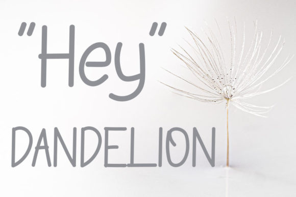 Livy Callista Font PNG with transparent background - Preview 1