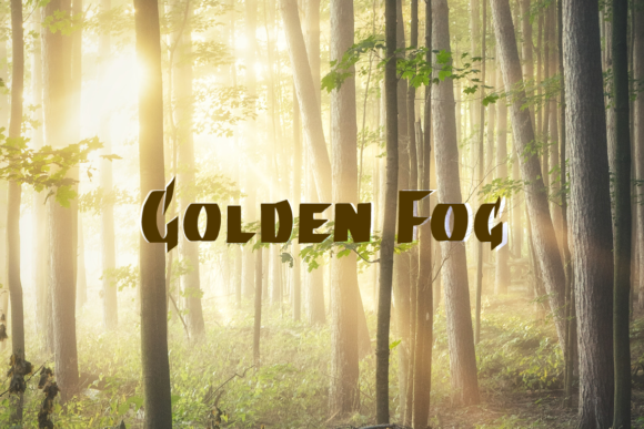 Neuland Font PNG with transparent background - Preview 1