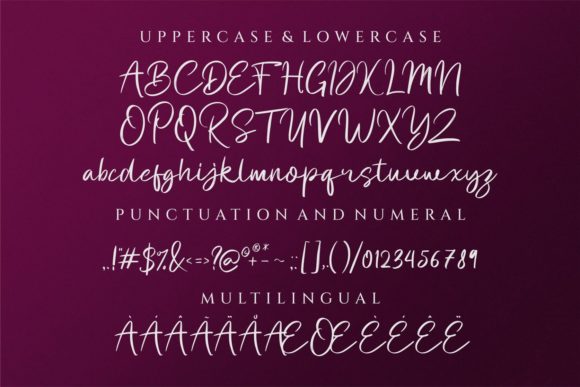 Felton Dafana Font - Preview 6