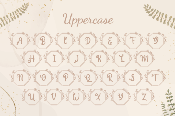 Heleny Monogram Font - Preview 3