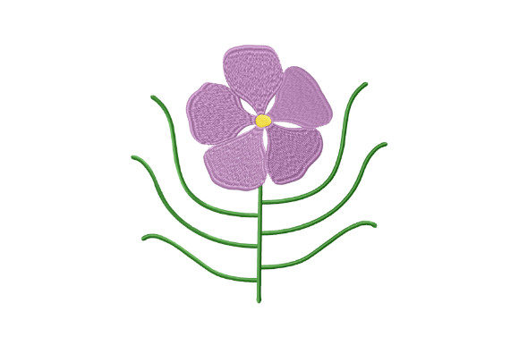 Byblis Gigantea Australian Flower