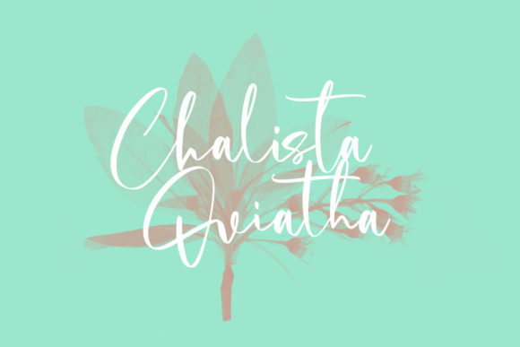 Cholasette Script Font - Preview 4