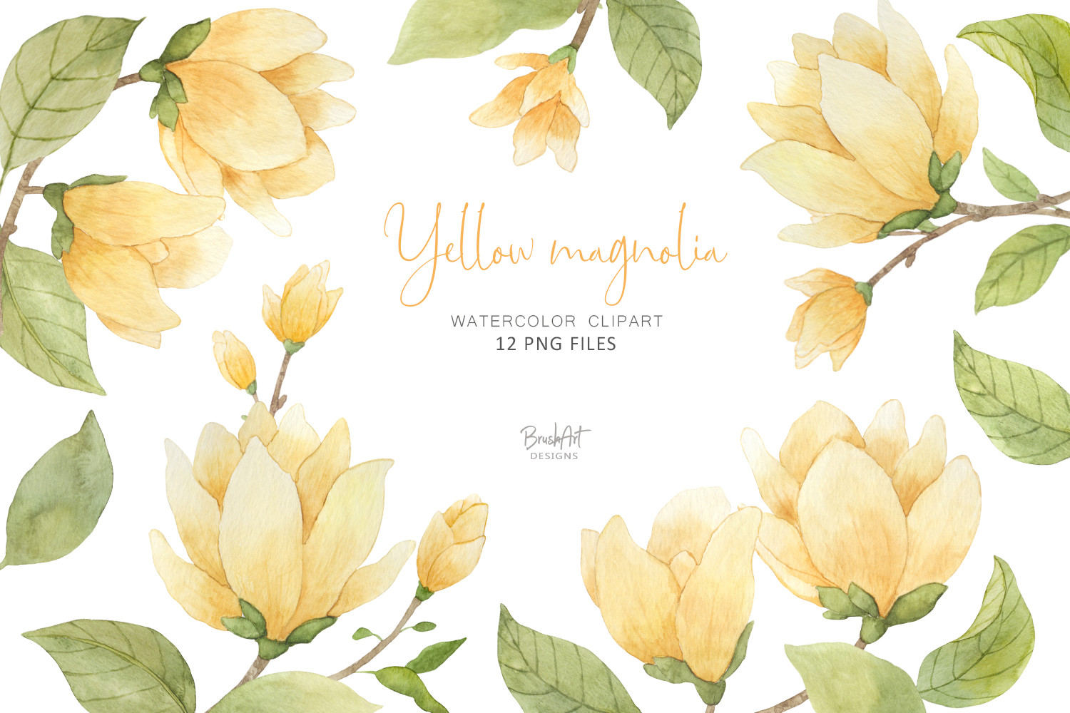 Watercolor Yellow Magnolia - photo 1