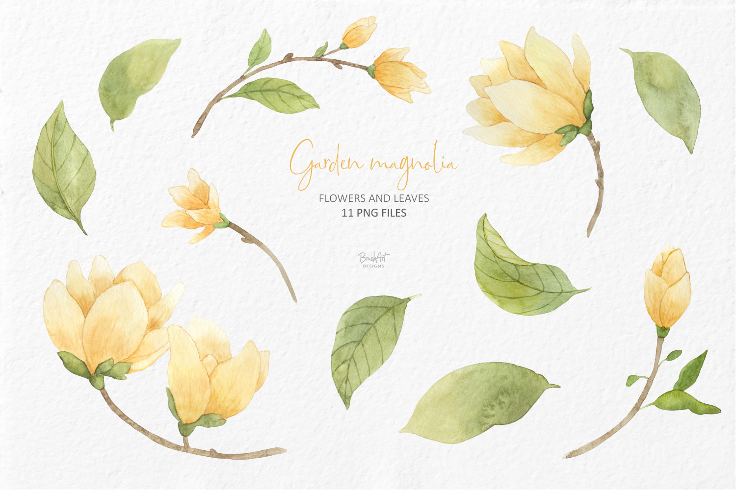 Watercolor Yellow Magnolia - photo 2