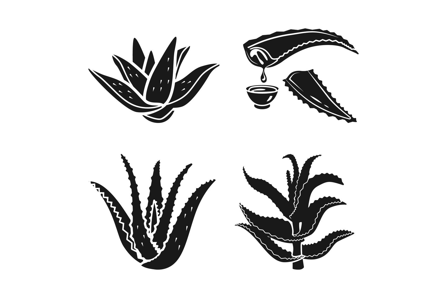 Aloe Vera Icon Set, Simple Style Graphic by nsit0108  Creative Fabrica