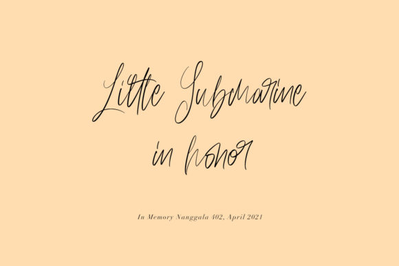 Anestacilla Font - Preview 4