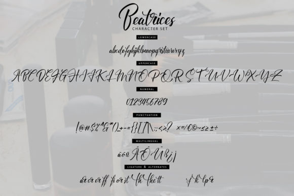 Beatrices Font - Preview 5