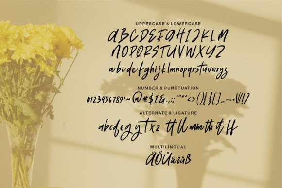 Britaniya Font - Preview 5