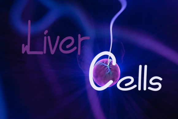 Electramonster Font - Preview 3