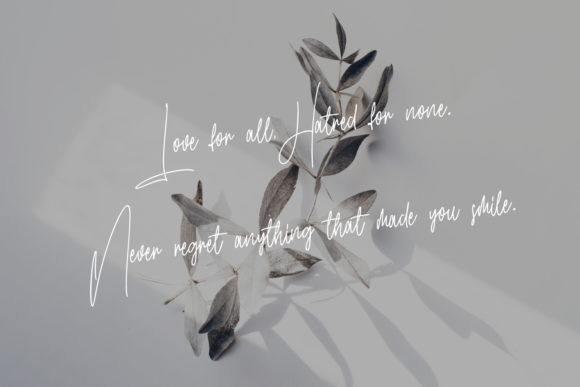 Gilly Fleurs Font - Preview 3