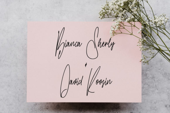 Gilly Fleurs Font - Preview 4