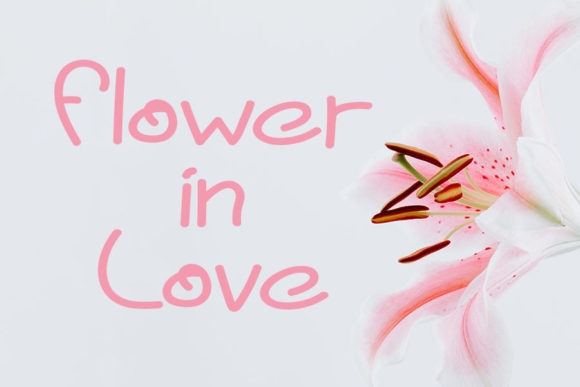 Lily Melody Font PNG with transparent background - Preview 1