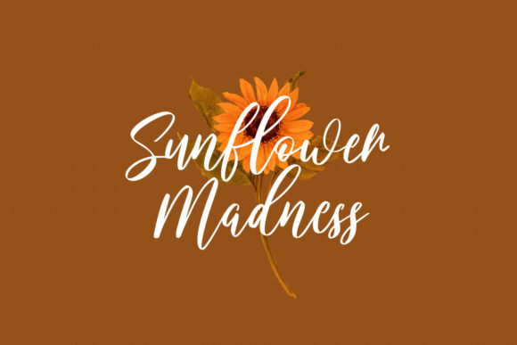 Bloomshine Font - Preview 3