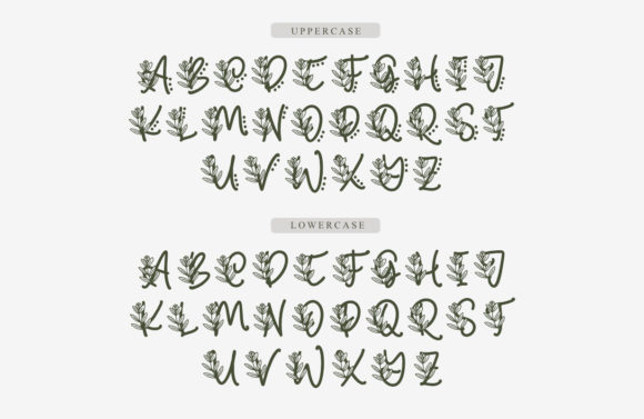 Monogram Sarasia Font PNG with transparent background - Preview 1