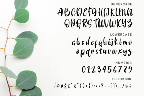 Angelonia Font - Preview 1