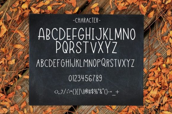 Fun Field Font - Preview 2