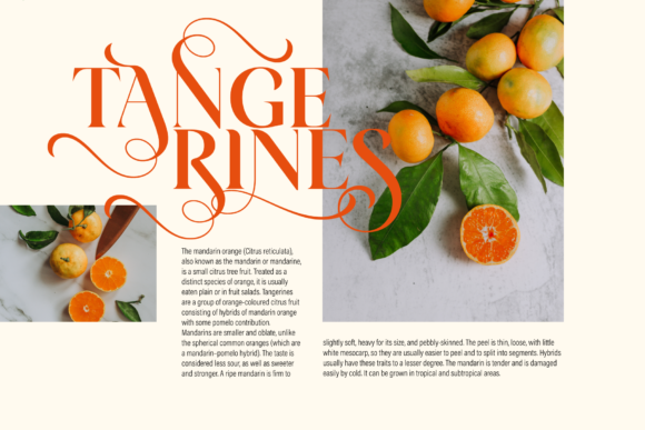 Arienne Font - Preview 6