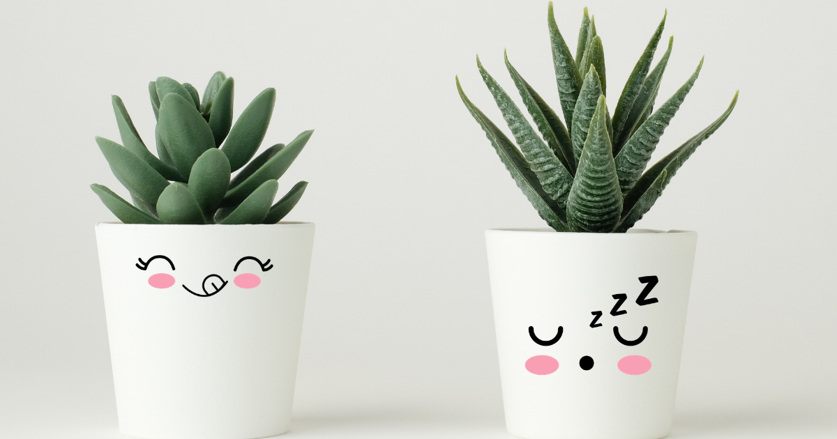 Make These Cute DIY Place Face Pot Decals For Plant Pots - Creative Fabrica